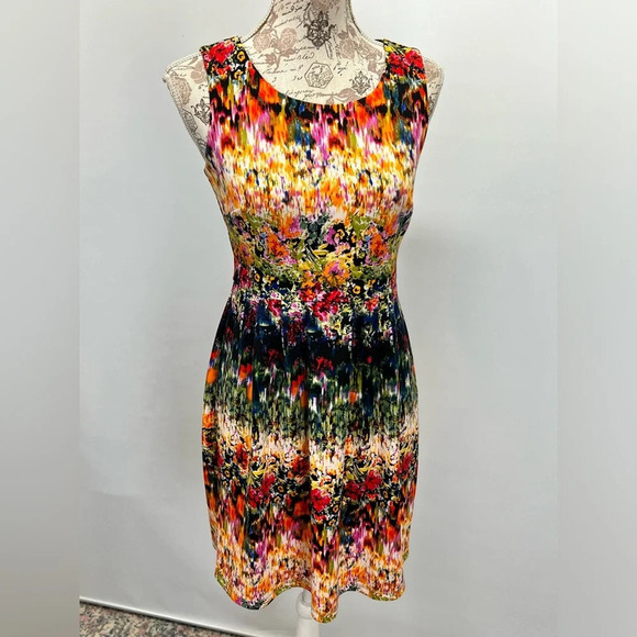 **LAST CHANCE** CYNTHIA ROWLEY Abstract‎ print sleeveless dress size 4. - Picture 8 of 12